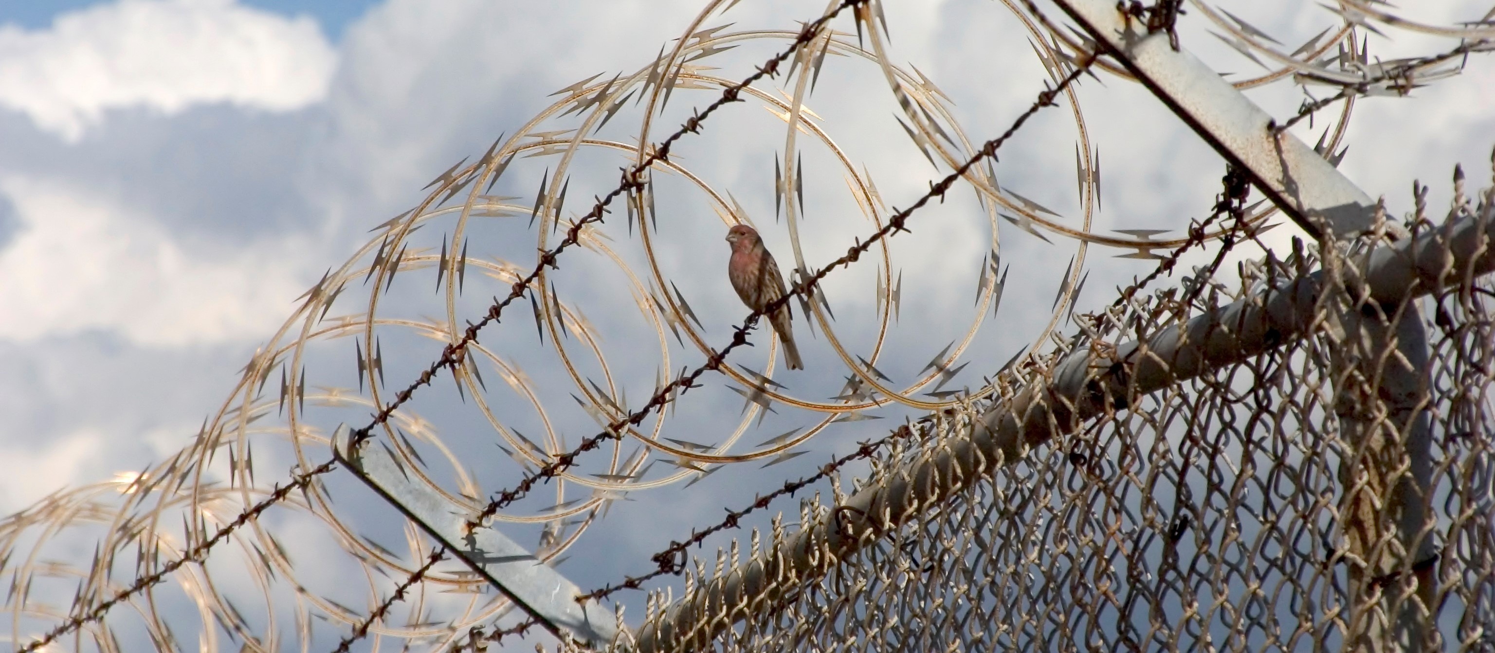 how-to-send-books-to-inmates-from-amazon